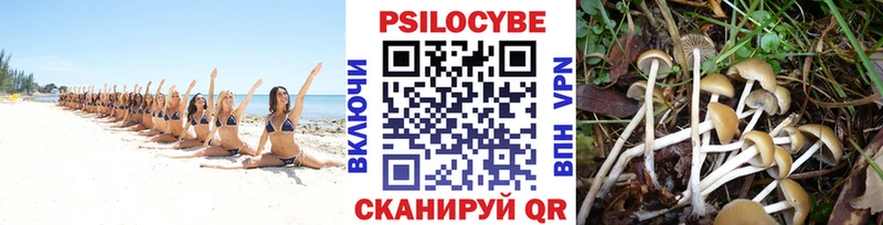 Галлюциногенные грибы прущие грибы  где продают наркотики  Кущёвская 