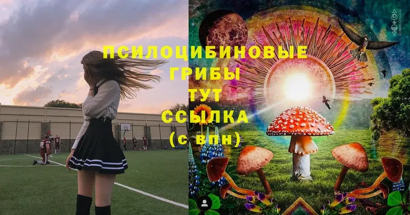 Псилоцибиновые грибы MAGIC MUSHROOMS  закладки  Кущёвская 